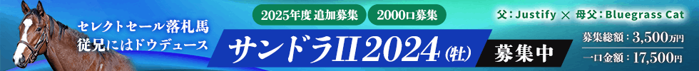 2025年度追加募集馬 サンドラII2024