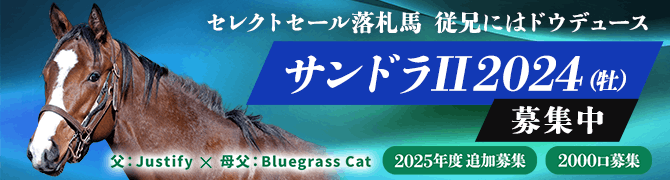 2025年度追加募集馬 サンドラII2024