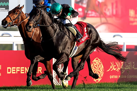 ディープモンスター レース6