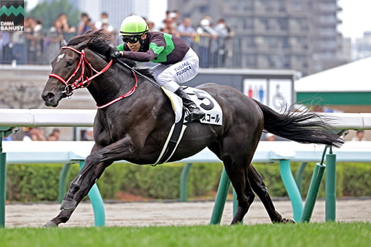 キングスコール レース3