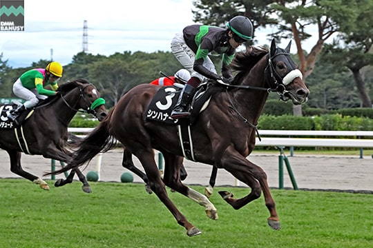 シンハナーダ レース1