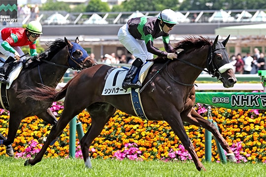 シンハナーダ レース2