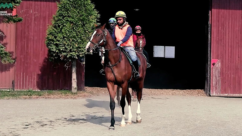 DMM BANUSY メジロシャレード2024 PV