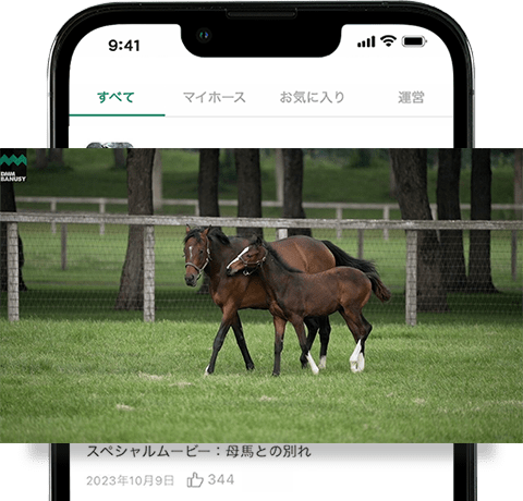 アプリで近況動画を閲覧するイメージ画像