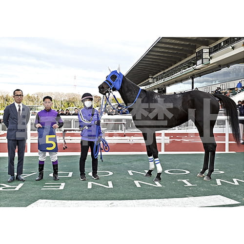 優勝記念写真イメージ ゴール前