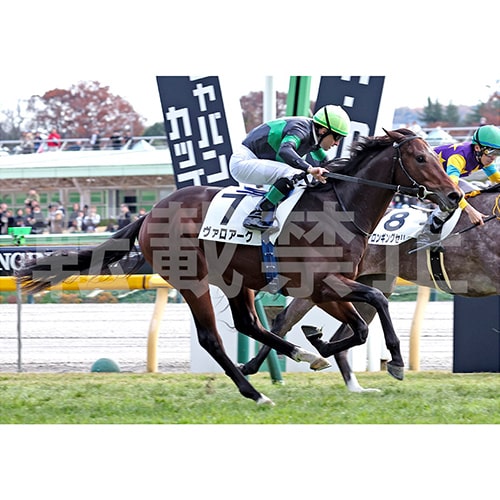 優勝記念写真イメージ ゴール前