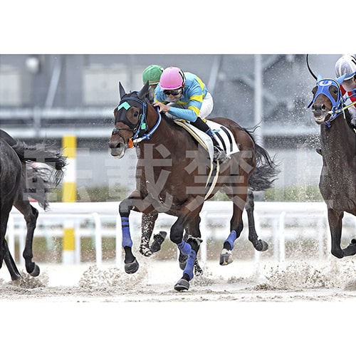 優勝記念写真イメージ ゴール前