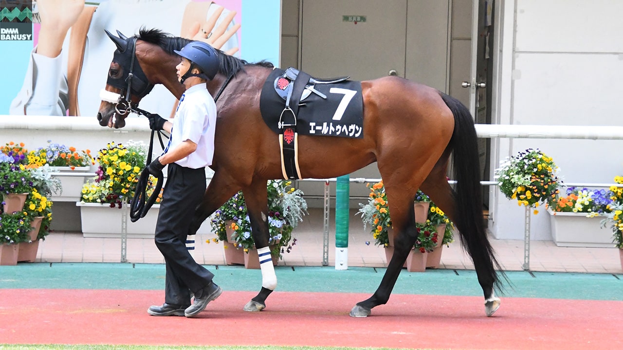 エールトゥヘヴン