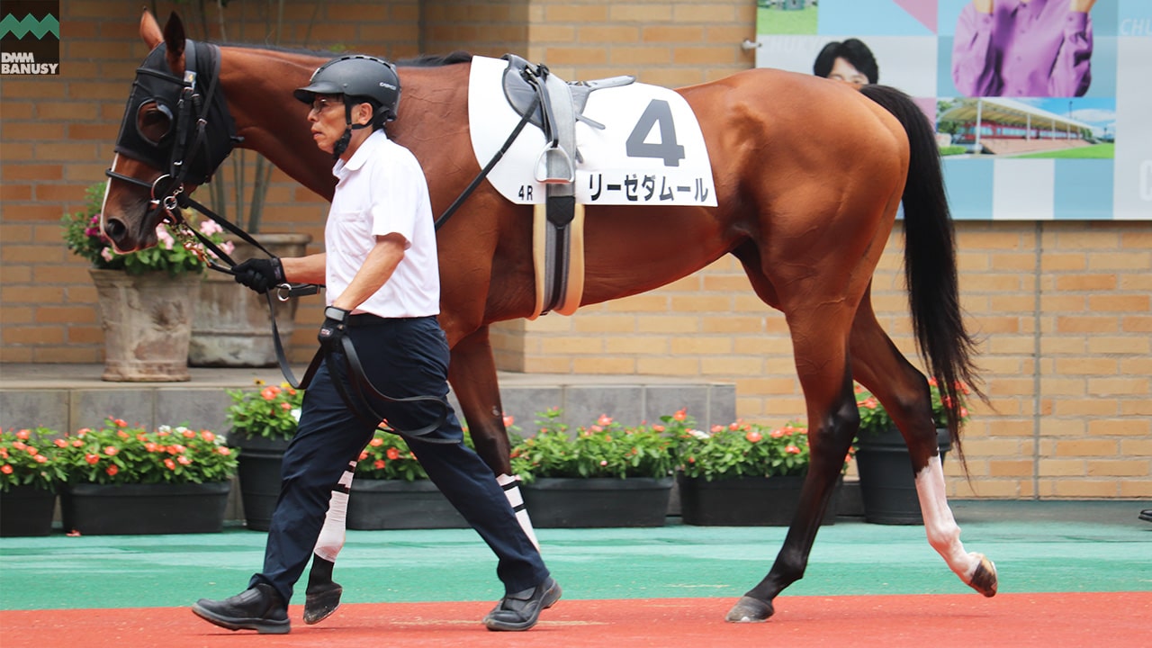 会報2024-33号 サムネイル