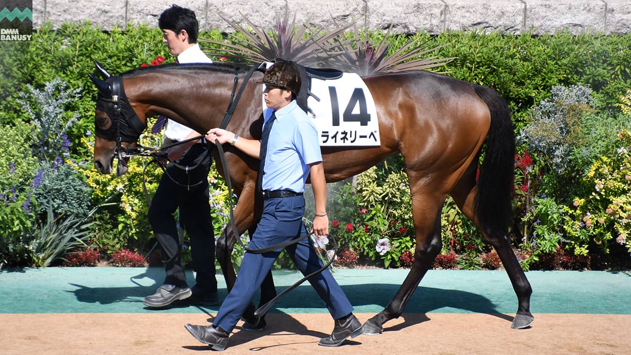 会報2024-37号 サムネイル