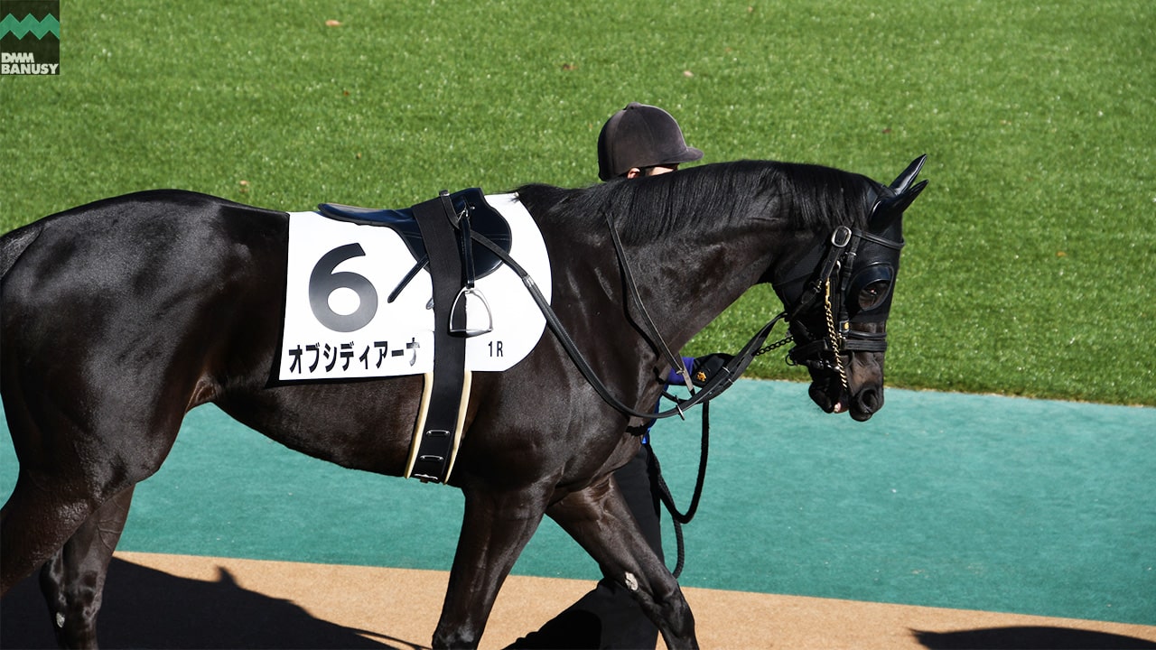 会報2025-05号 サムネイル