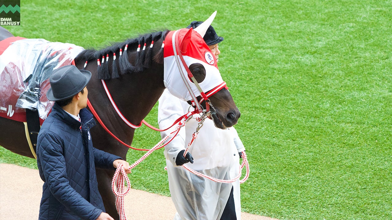 キングスコール