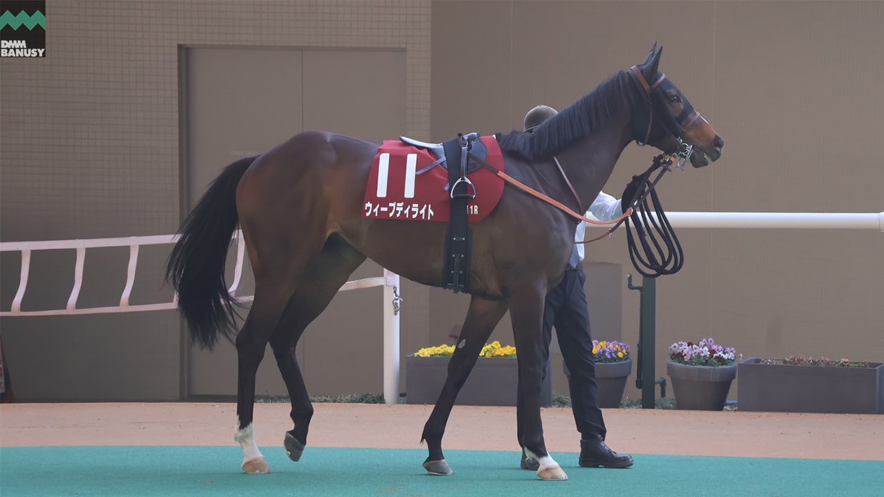 ウィープディライト