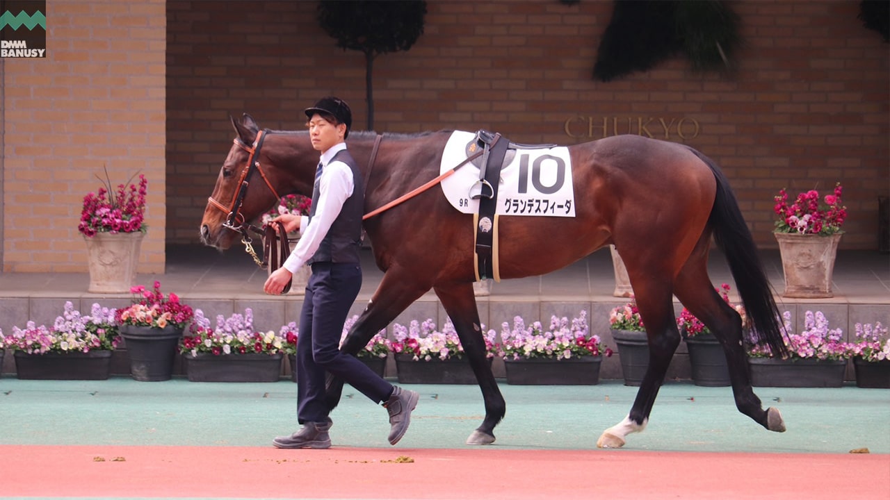 グランデスフィーダ