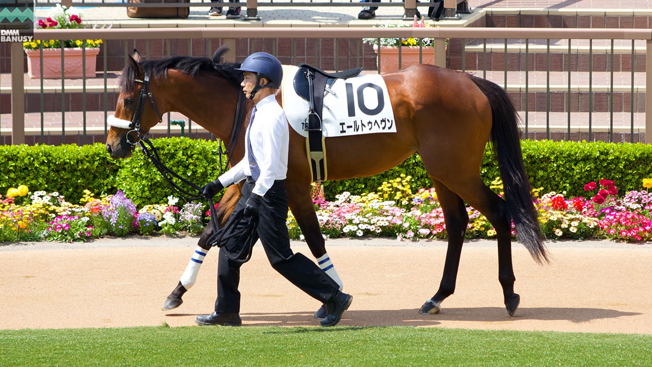 エールトゥヘヴン