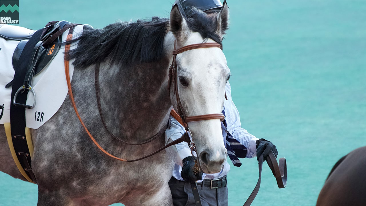 レジェンドシップ