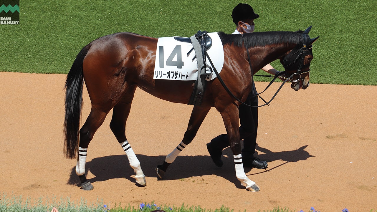 リリーオブザハート