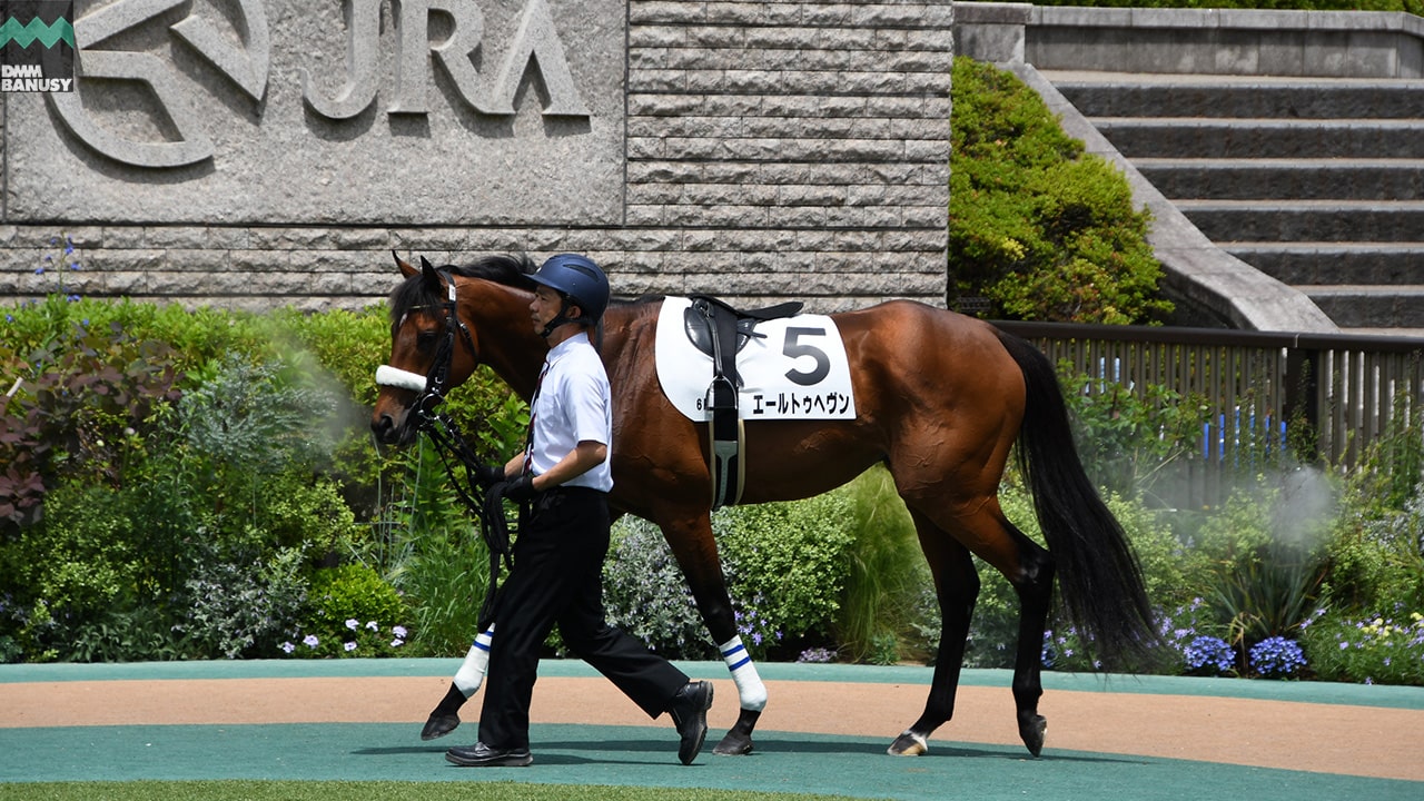 エールトゥヘヴン