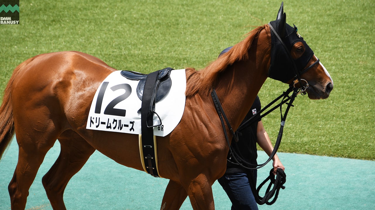 ドリームクルーズ