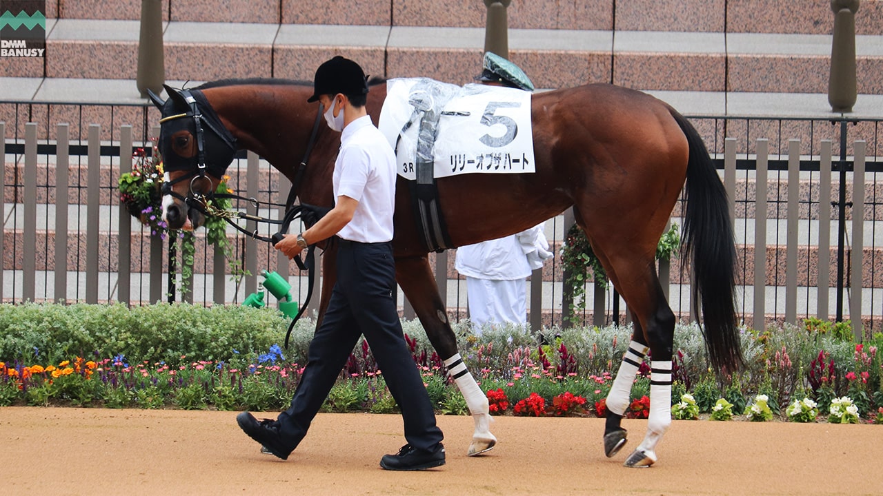 リリーオブザハート