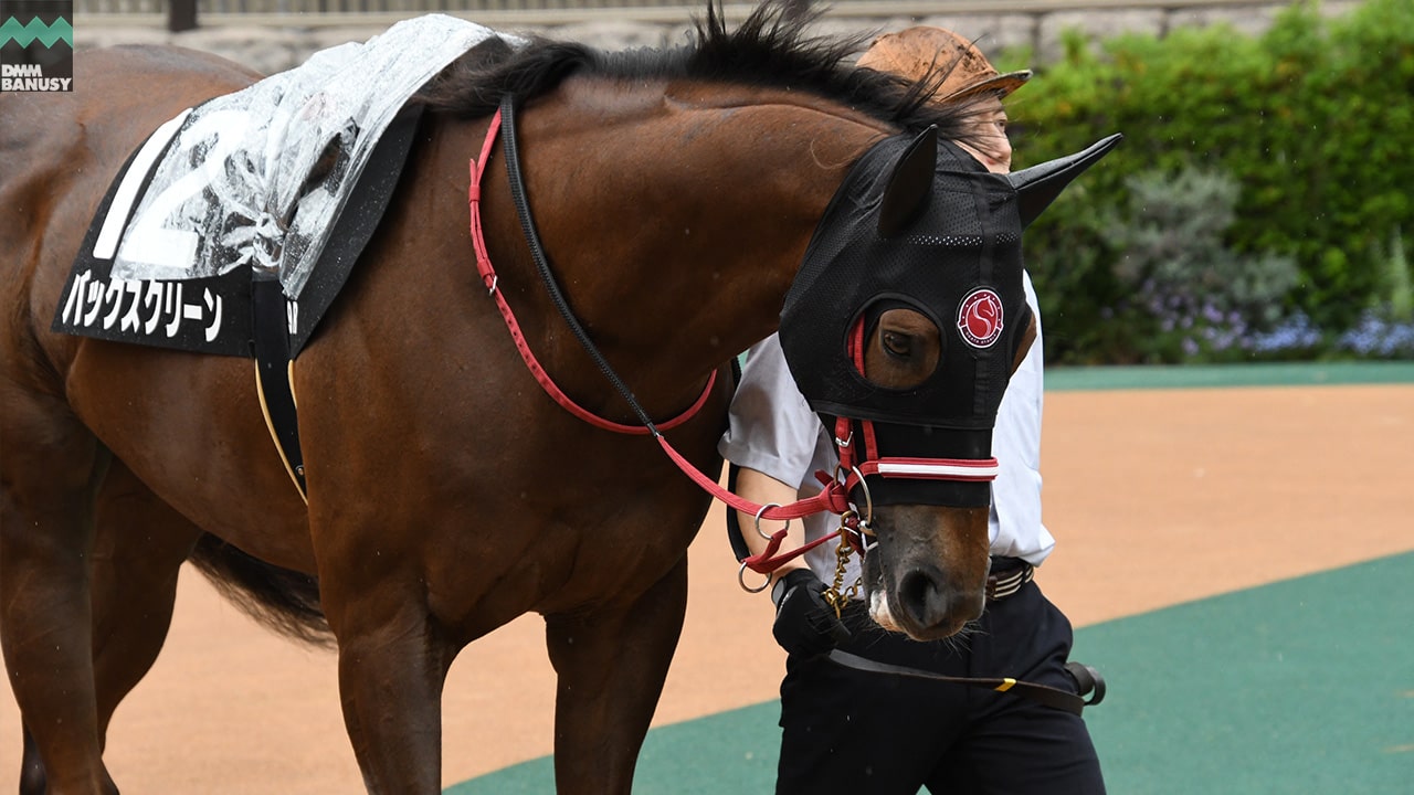 バックスクリーン