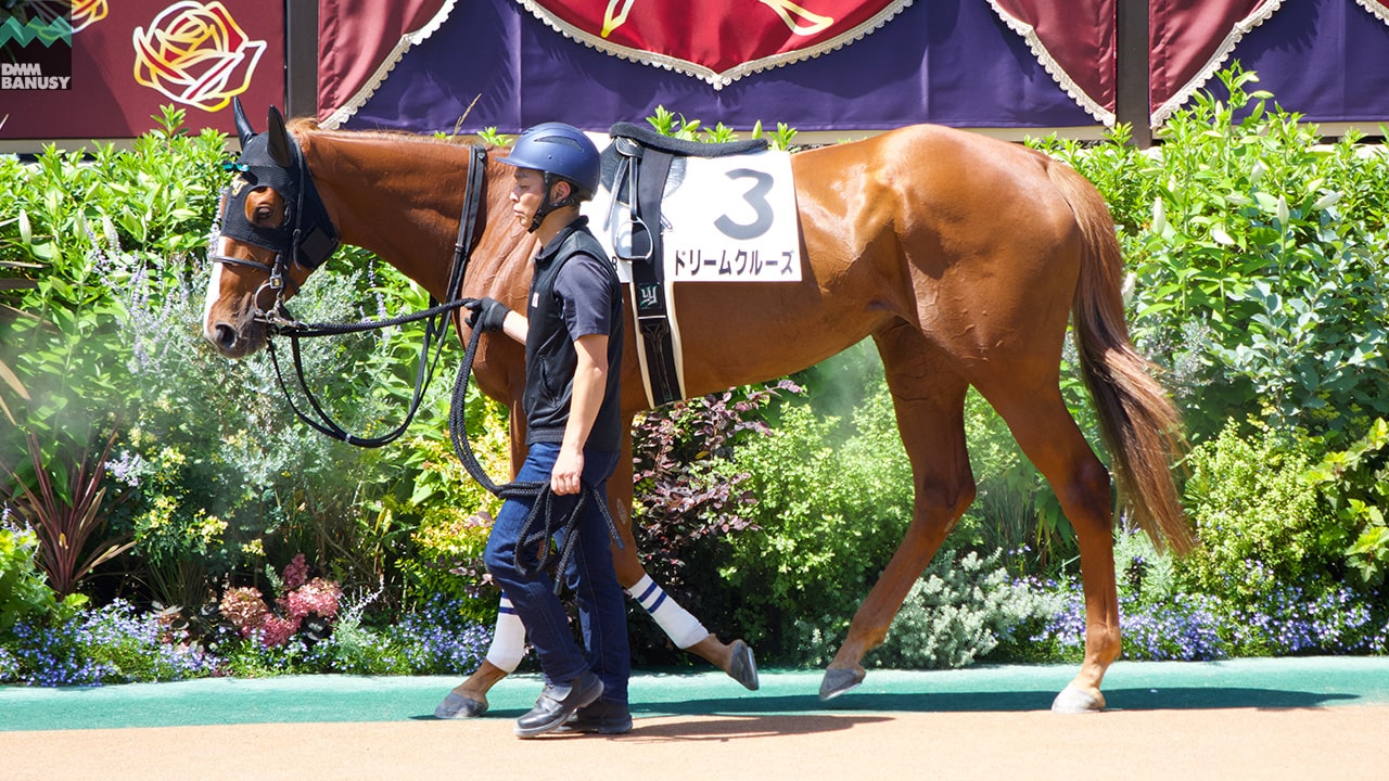 ドリームクルーズ