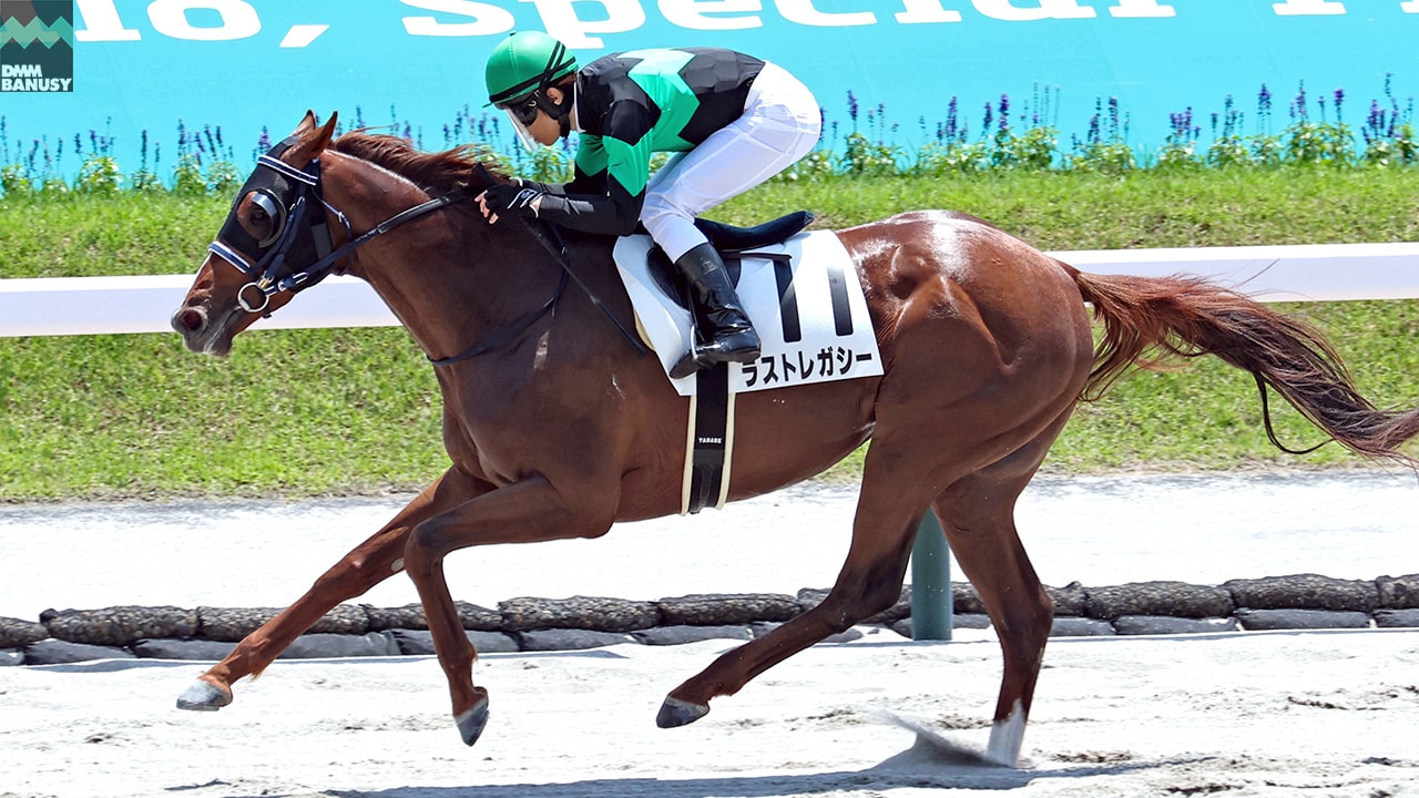 会報2025-22号・特別号 サムネイル