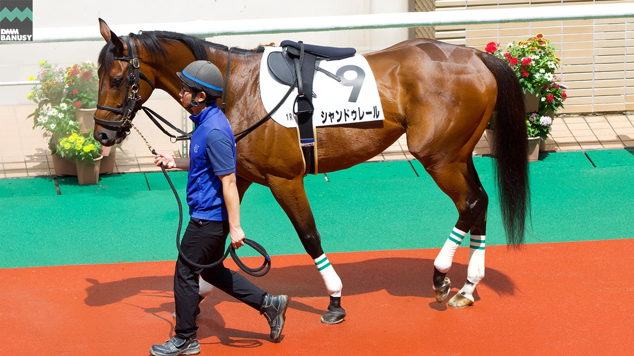 シャンドゥレール