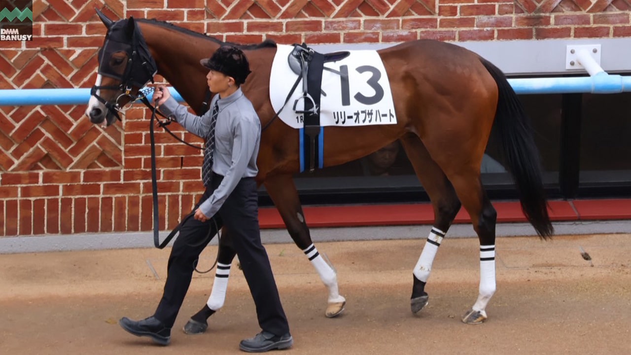 リリーオブザハート