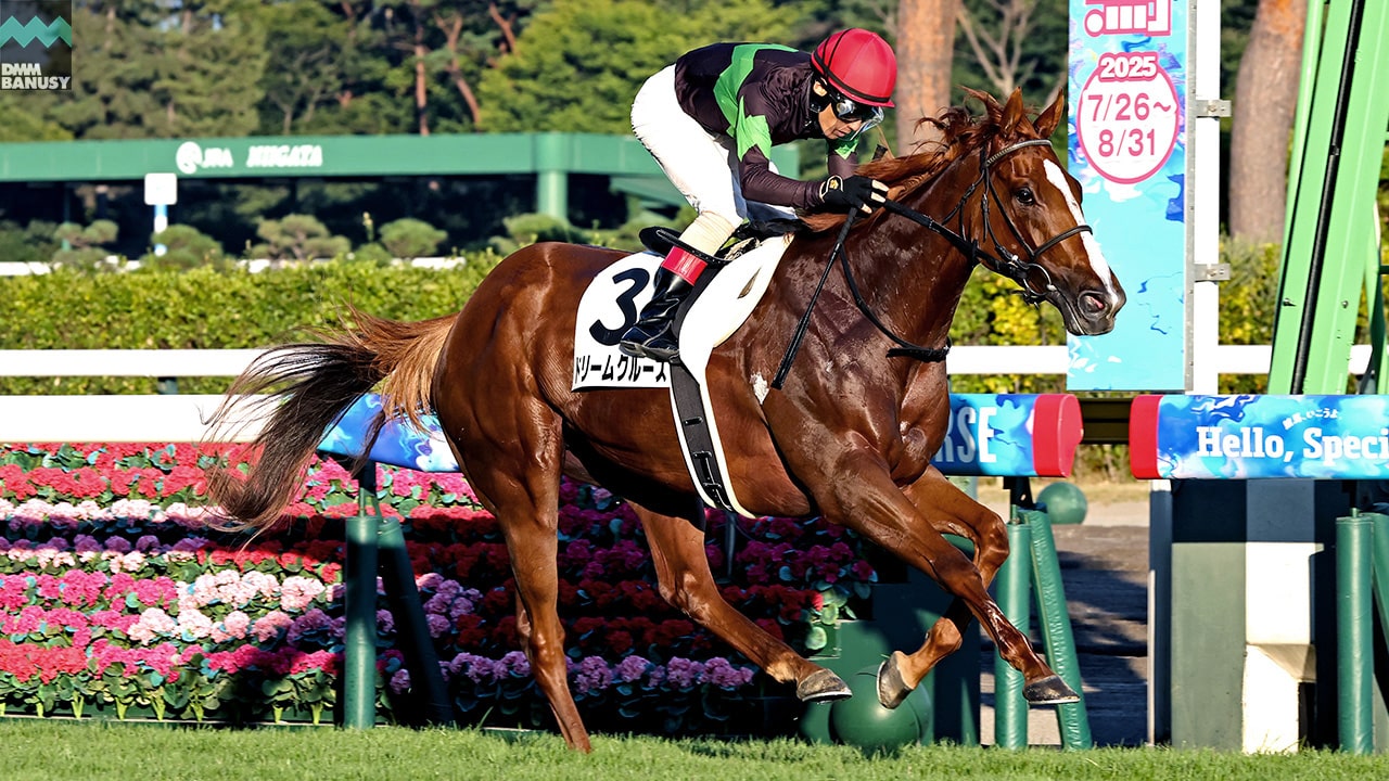 会報2025-26号・特別号 サムネイル