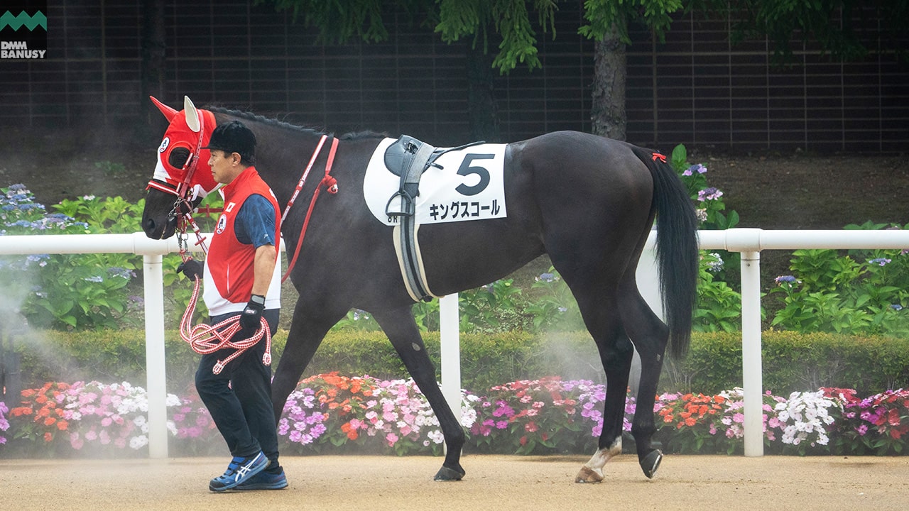 キングスコール