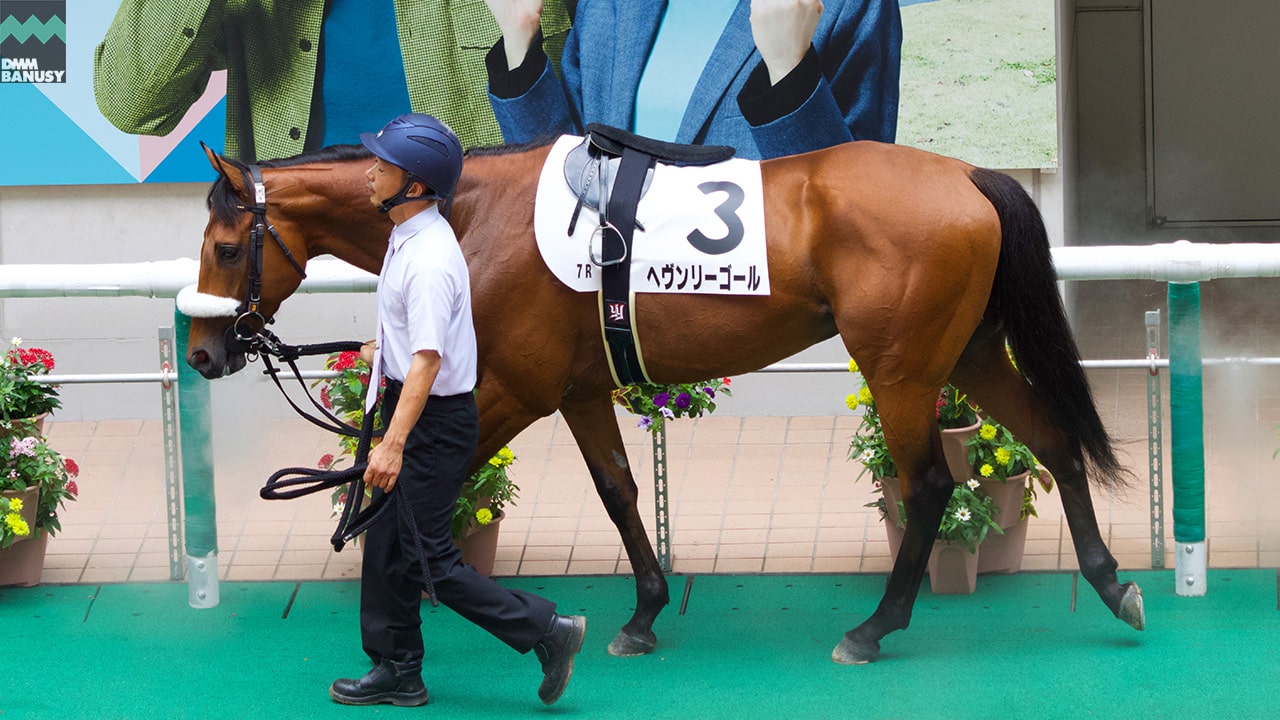 ヘヴンリーゴール