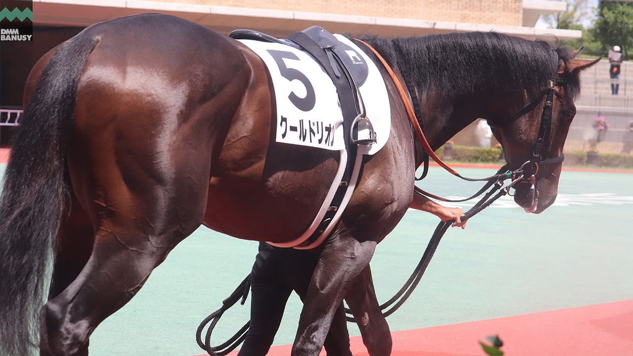 クールドリオン