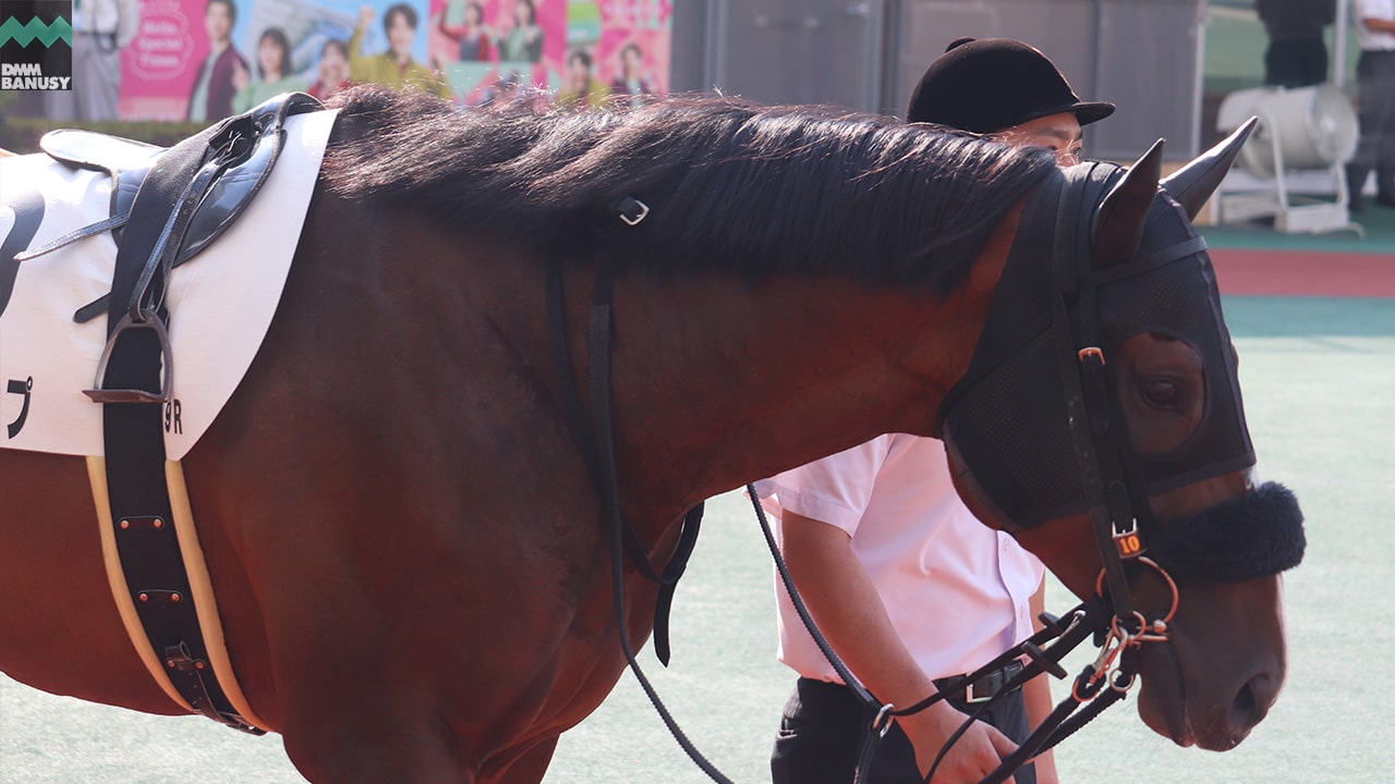 シャンパンポップ