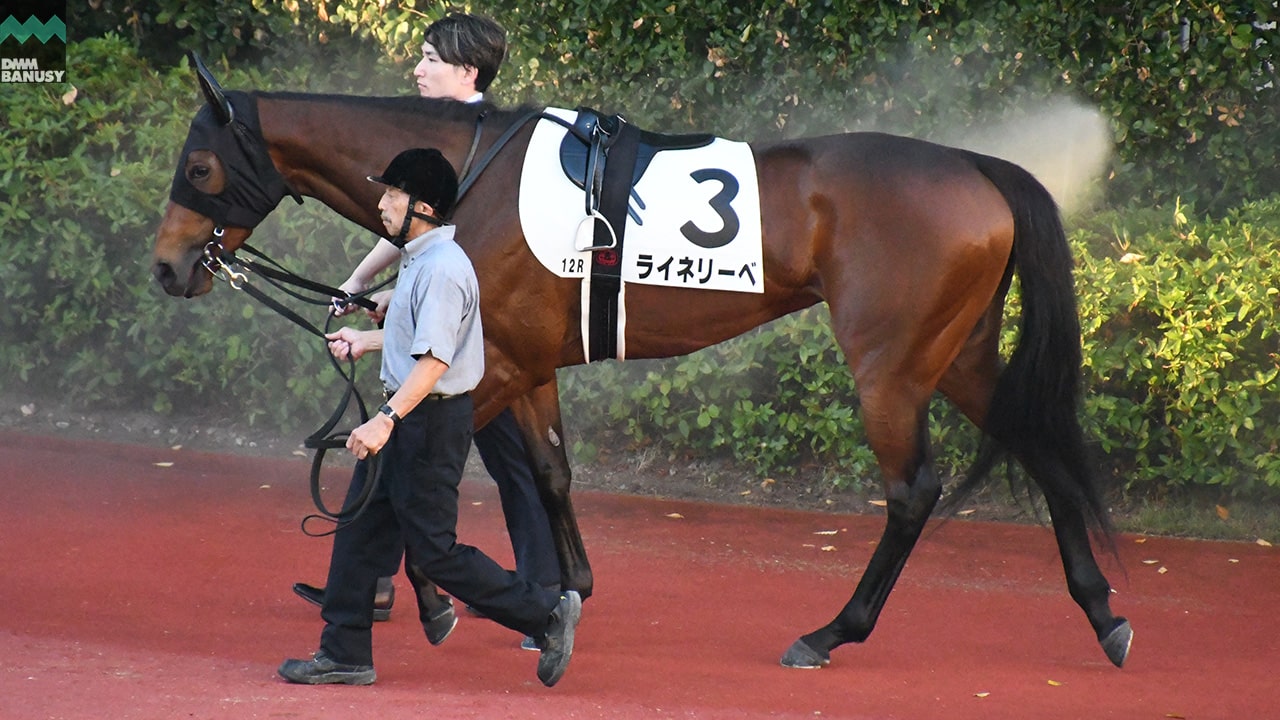 会報2025-30号 サムネイル