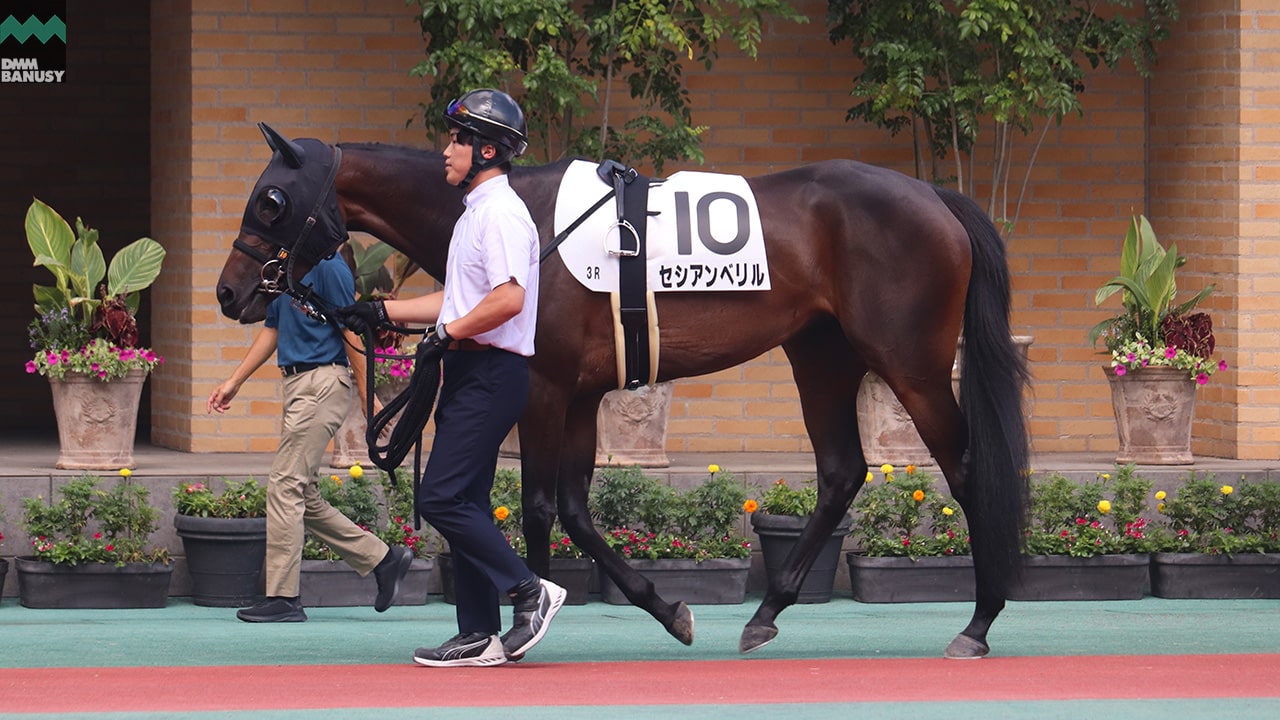 セシアンベリル