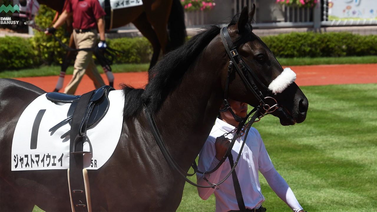 ジャストマイウェイ