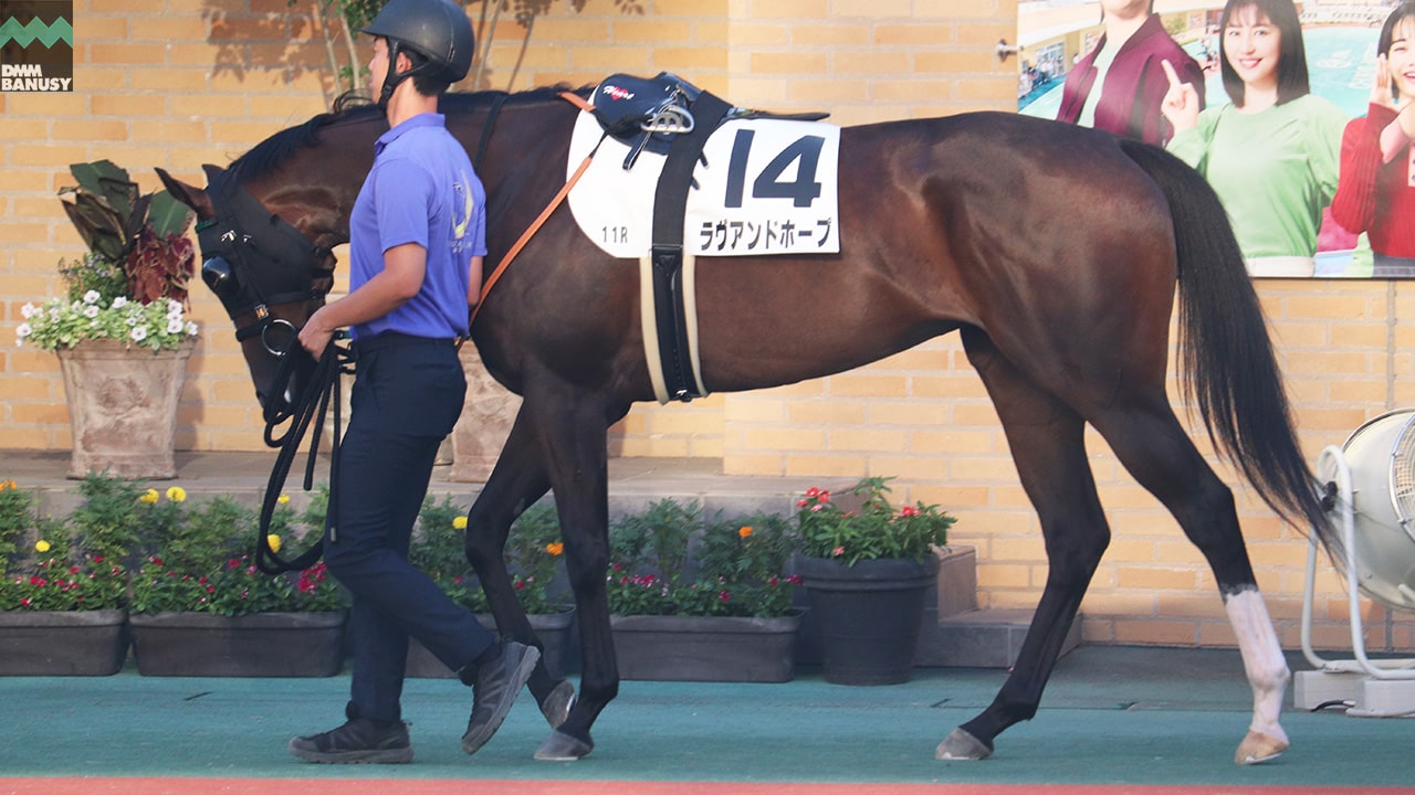 ラヴアンドホープ