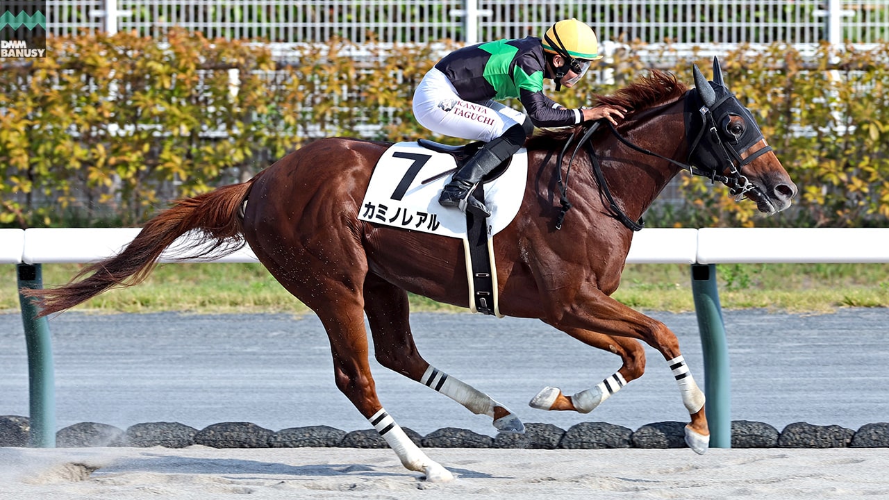 会報2025-31号・特別号 サムネイル