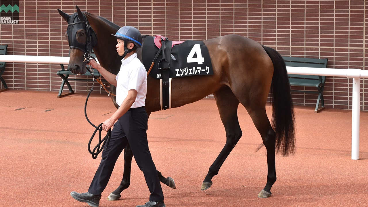会報2025-35号 サムネイル