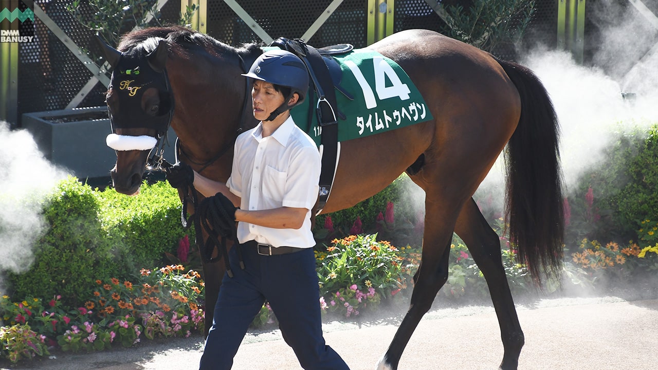 タイムトゥヘヴン