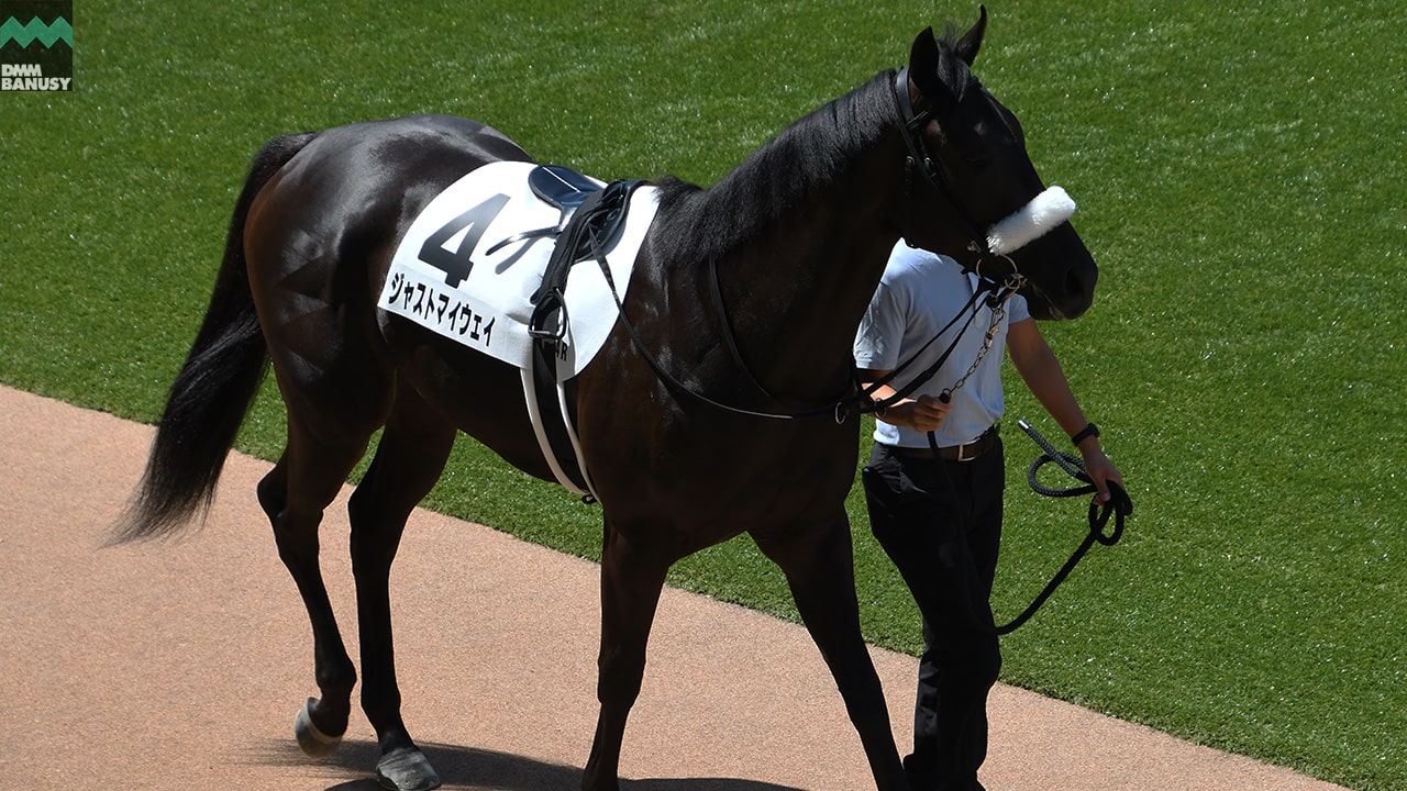 ジャストマイウェイ