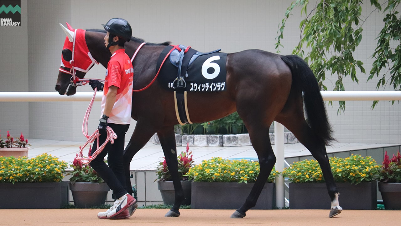 スウィッチインラヴ