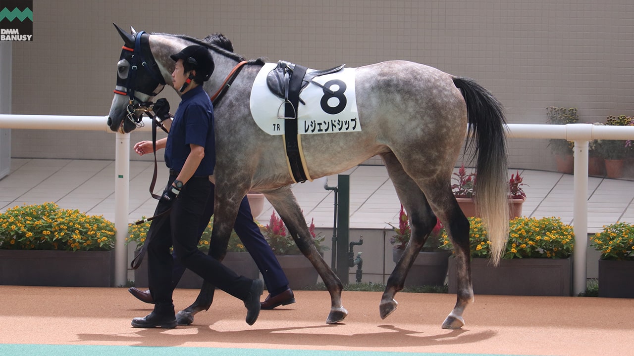 レジェンドシップ