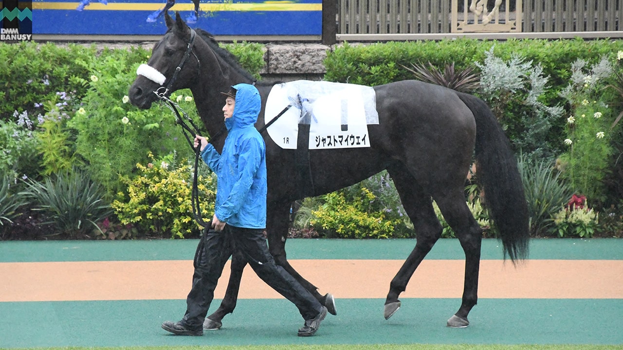 ジャストマイウェイ