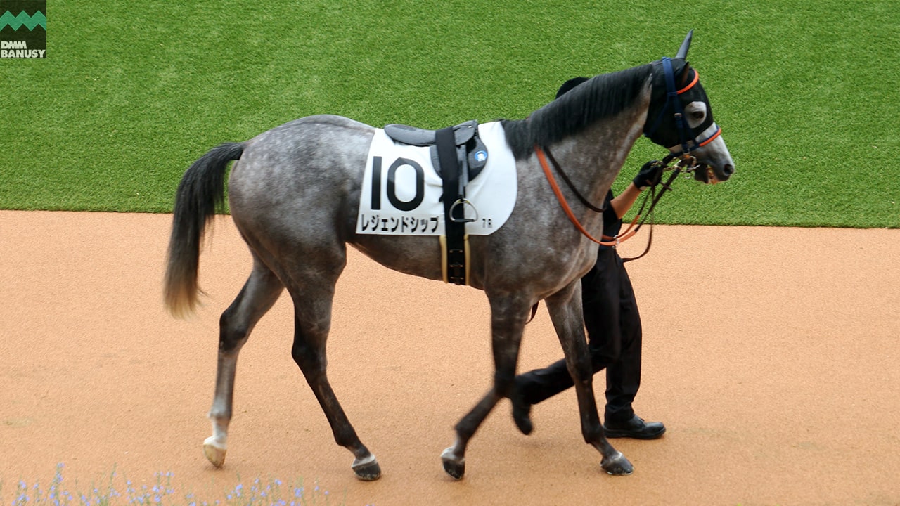 レジェンドシップ