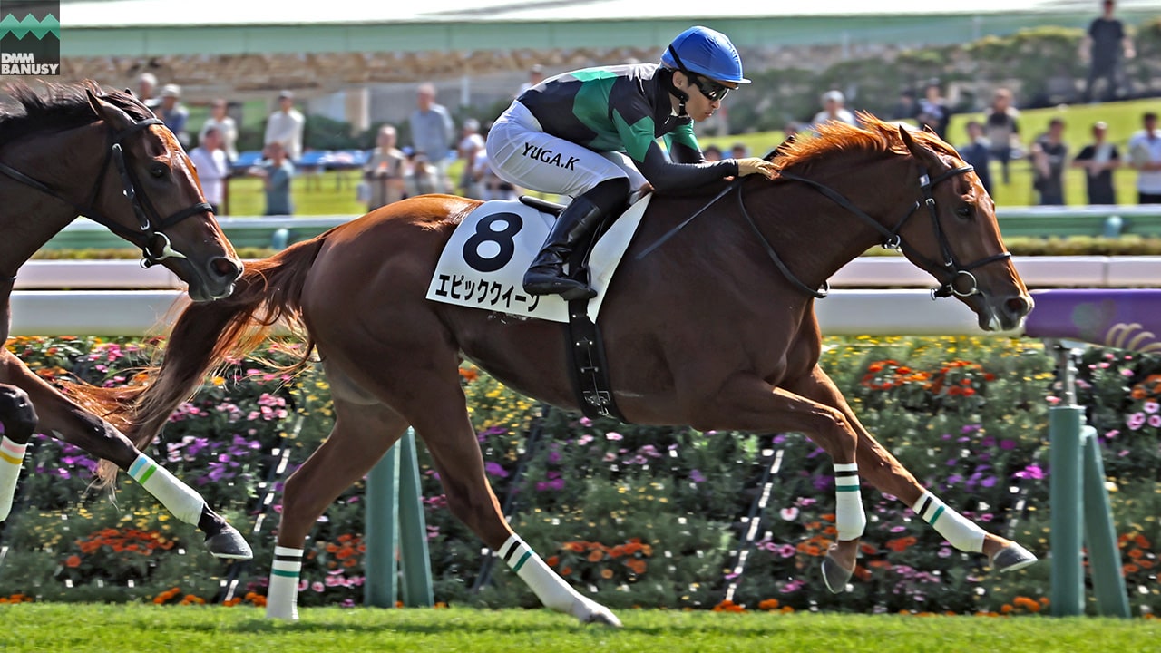 会報2025-41号・特別号 サムネイル