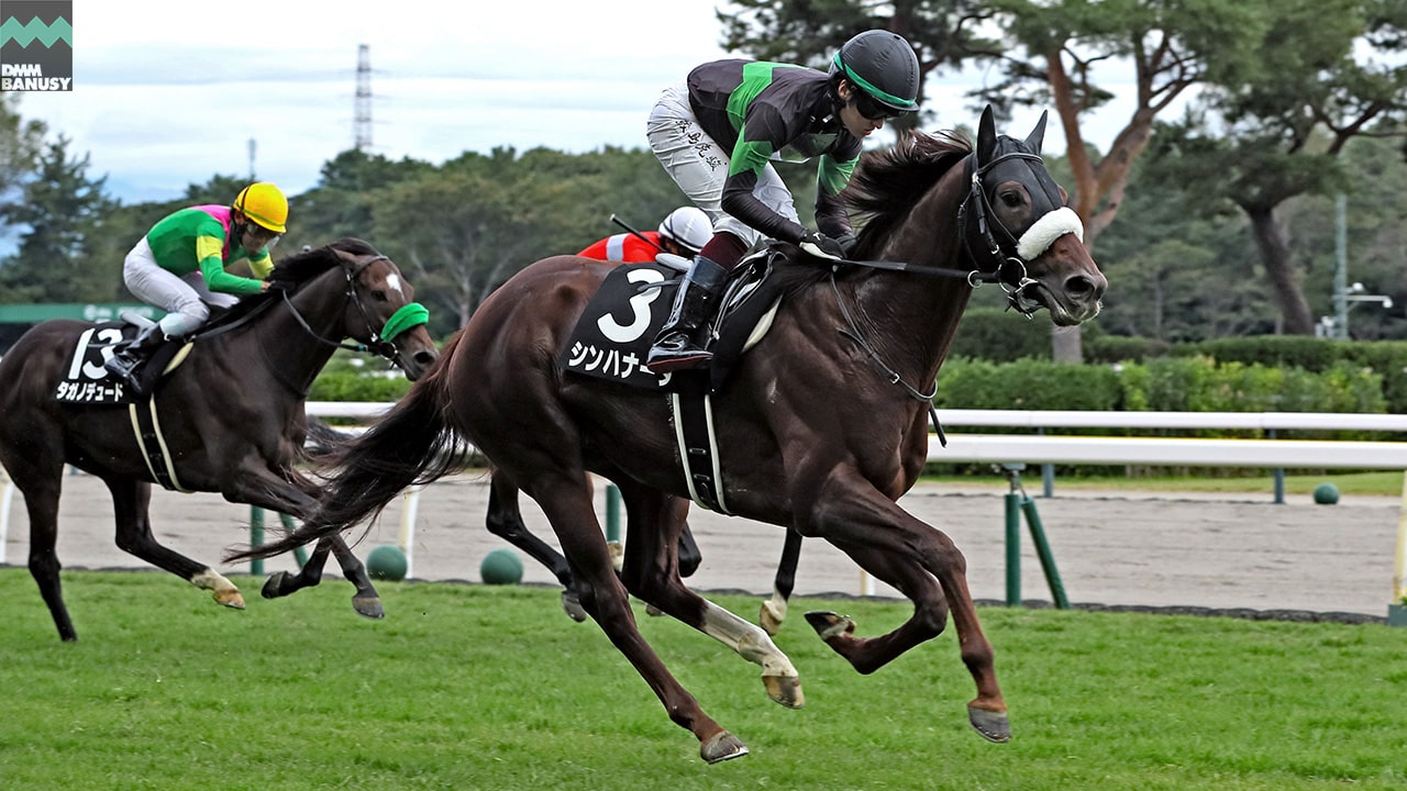 会報2025-42号・特別号 サムネイル