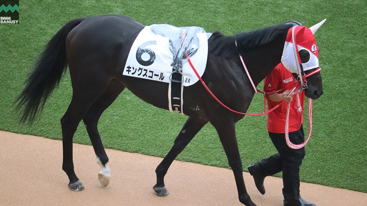 キングスコール