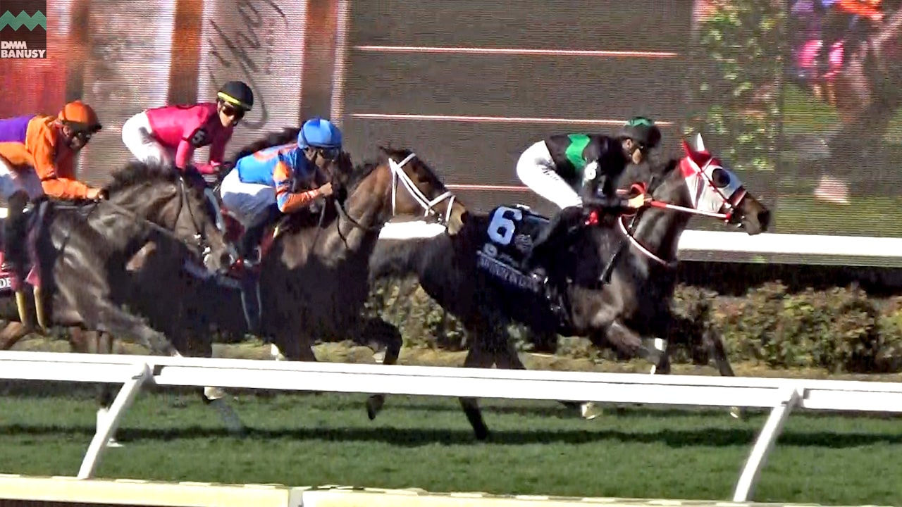 会報2025-44号・特別号 サムネイル